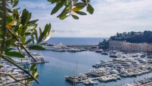 View across Port Hercule harbor with Monaco yachts and olive branches in the foreground