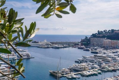 View across Port Hercule harbor with Monaco yachts and olive branches in the foreground