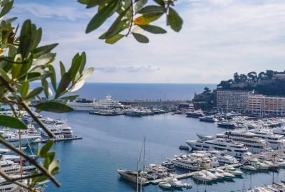 View across Port Hercule harbor with Monaco yachts and olive branches in the foreground